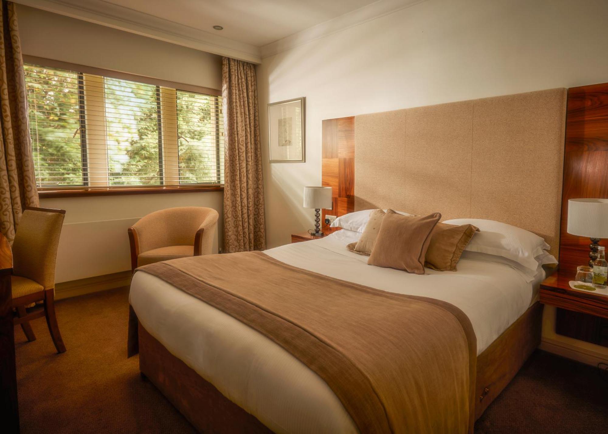 Standard Double Room,951288898:JPEG